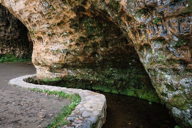 Private Full-Day Hiking Tour in Sigulda and Gauja National Park - Reviews