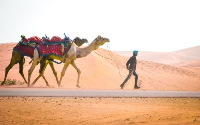 Private Full Day Jaisalmer City Tour (All-Inclusive) - Highlights