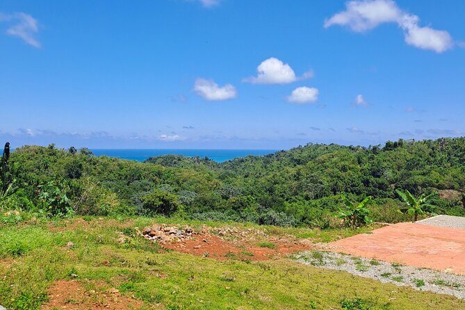 Private Full-Day Jungle to Shoreline Hiking Tour of Las Galeras - Good To Know