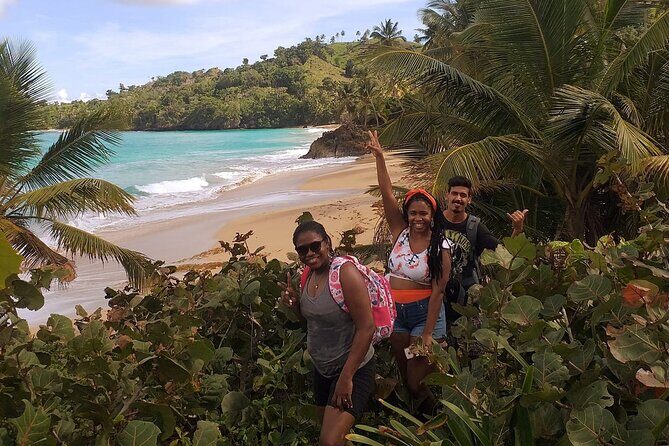 Private Full-Day Jungle to Shoreline Hiking Tour of Las Galeras - The Experience and What Youll Gain