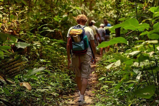 Private Full-Day Jungle to Shoreline Hiking Tour of Las Galeras - Practical Tips and Considerations