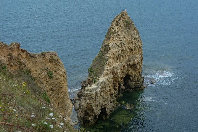 Private Full Day Landing Beaches Tour From Honfleur and Le Havre - Customer Reviews