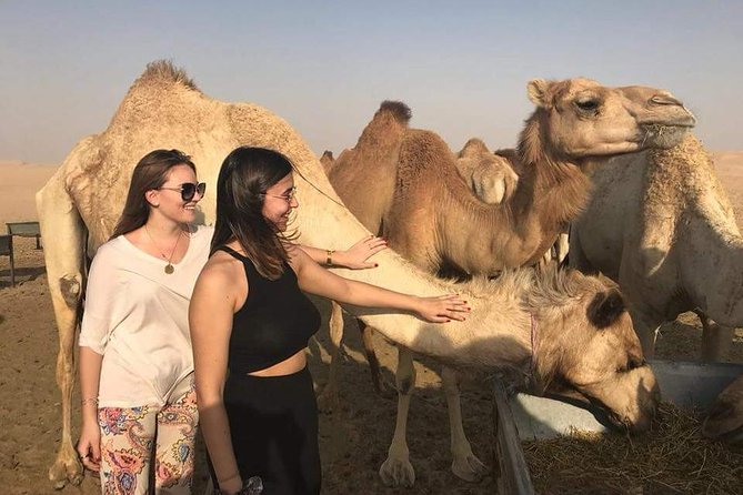 Private Full Day Liwa Desert Safari Tour With Lunch From Dubai - Overview of the Liwa Desert Safari Tour