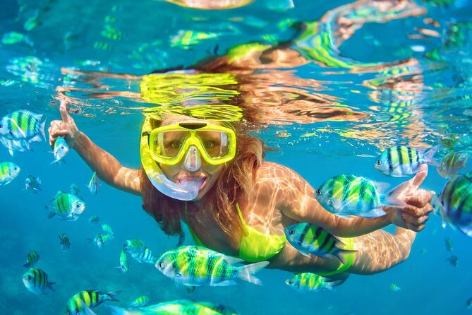Private Full-Day Lovina Dolphin Watching and Snorkeling Boat Tour - Booking Information