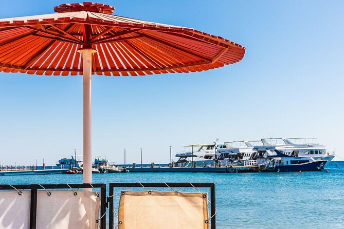 Private Full Day Luxor Adventure From Safaga Port - Good To Know