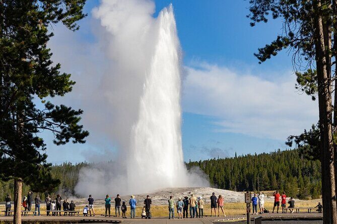 Private Full Day Luxury Tour at Yellowstone Park - The Sum Up