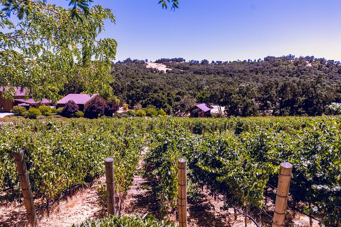 Private Full-Day Luxury Transportation From Paso Robles - Pricing and Booking Details