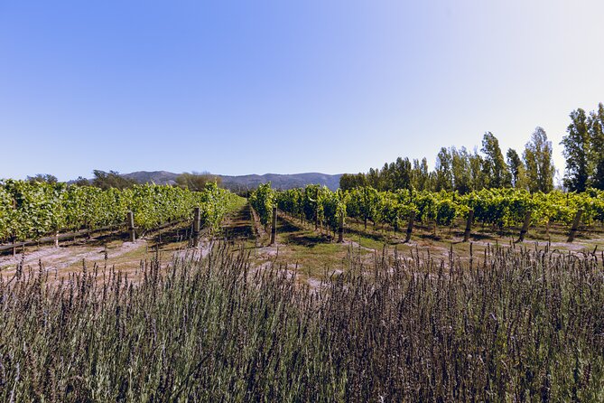 Private Full-Day Luxury Transportation From Sonoma - Common Questions