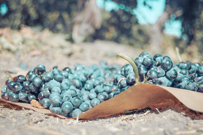 Private Full-Day Luxury Transportation From Temecula Valley - What to Expect