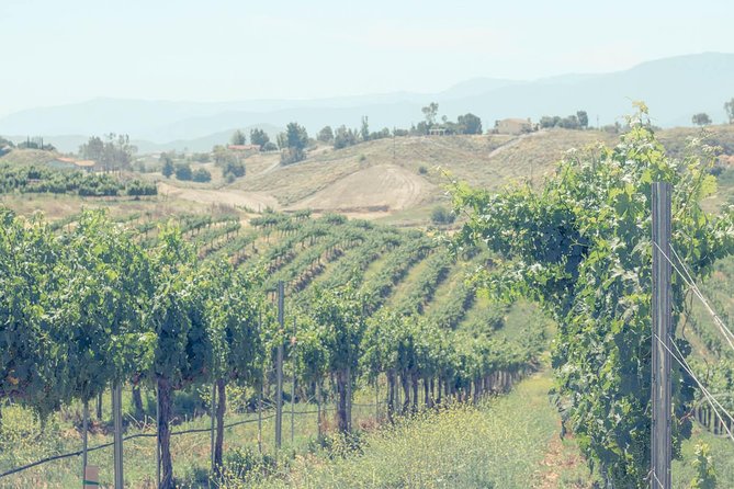 Private Full-Day Luxury Transportation From Temecula Valley - Cancellation Policy