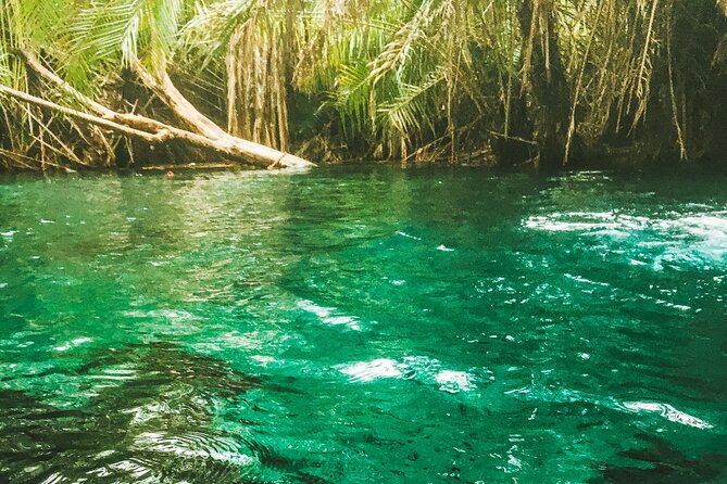 Private Full-Day Materuni Waterfalls and Kikuletwa Hotspring - Good To Know