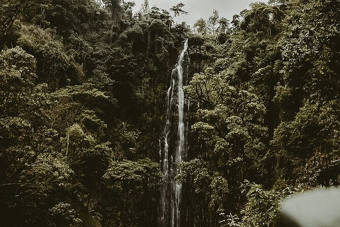 Private Full-Day Materuni Waterfalls and Kikuletwa Hotspring - Inclusions and Exclusions