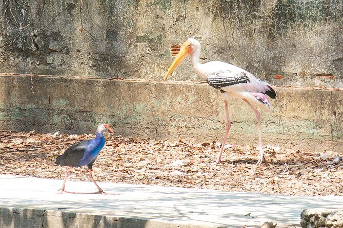 Private Full Day Mekong Delta Tour to Dong Thap Muoi Wetlands - Good To Know