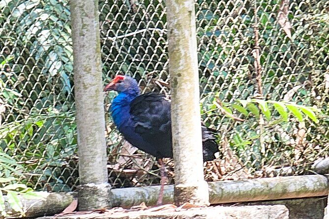 Private Full Day Mekong Delta Tour to Dong Thap Muoi Wetlands - Final Thoughts