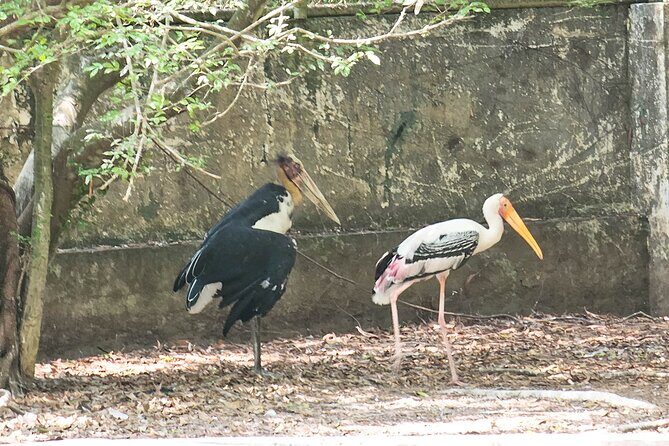 Private Full Day Mekong Delta Tour to Dong Thap Muoi Wetlands - What Makes This Tour Stand Out?