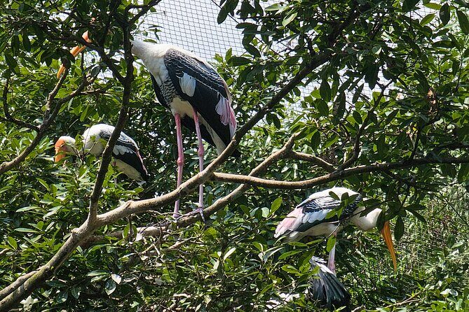 Private Full Day Mekong Delta Tour to Dong Thap Muoi Wetlands - FAQ