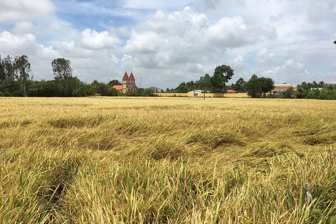 Private Full-day Mekong Tour From Ho Chi Minh City, Including River Cruise - Pricing Information