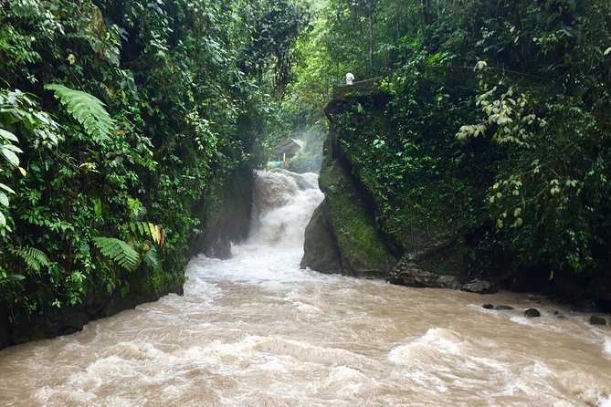Private Full Day Mindo Tour From Quito - Pickup and Logistics