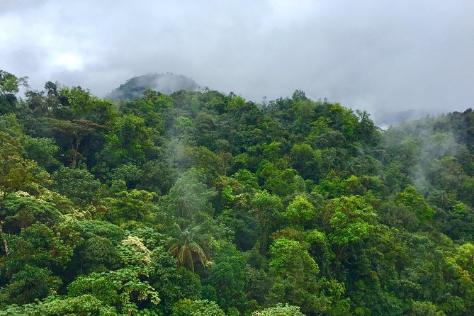 Private Full Day Mindo Tour From Quito - What to Expect