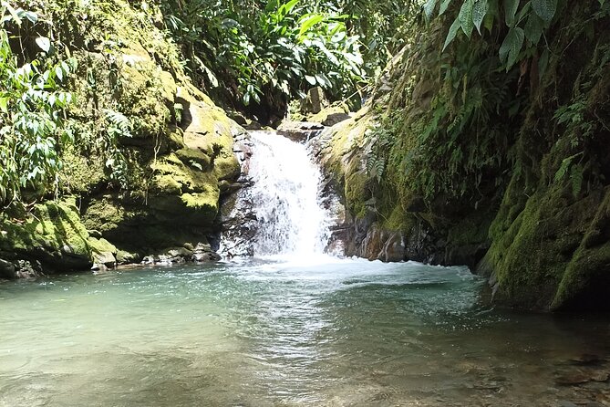 Private Full Day Mindo Tour With Pickup - Itinerary Overview