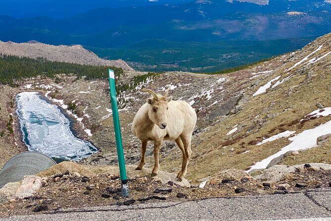 Private Full-Day Mount Blue Sky & Red Rocks Tour from Denver - Mountain Towns and Historic Stops