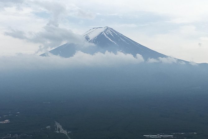 Private Full Day Mount Fuji Tour From Tokyo Including 3 View Spots - Tour Details and Options