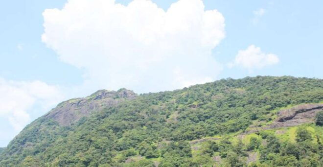 Private Full Day Nandi Hill Excursion With Lunch - Full Description