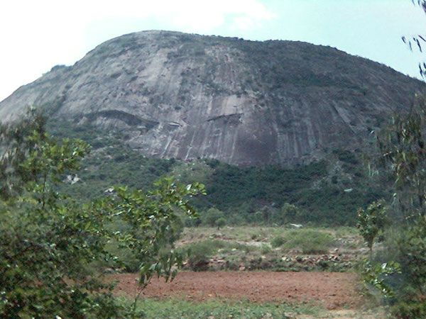 Private Full Day Nandi Hill Excursion With Lunch - Review Summary