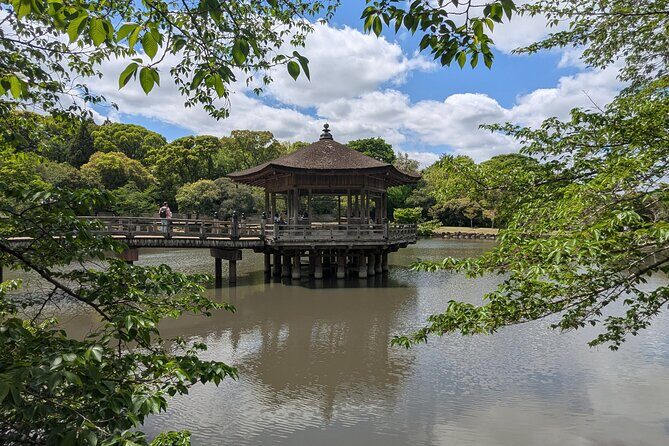 Private Full-Day Nara Tour Hozanji Temple Cable Car and Nara Park - Final Thoughts