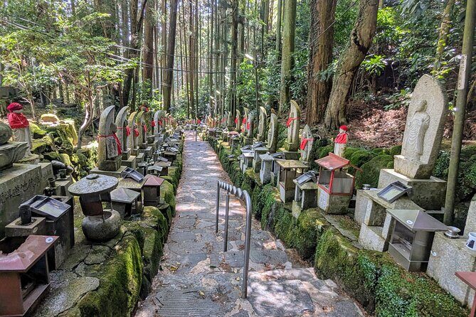 Private Full-Day Nara Tour Hozanji Temple Cable Car and Nara Park - Summing Up: Who Will Love This Tour?
