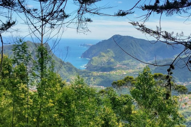 Private Full Day Off-Road Tour in Madeira - Customer Satisfaction and Feedback