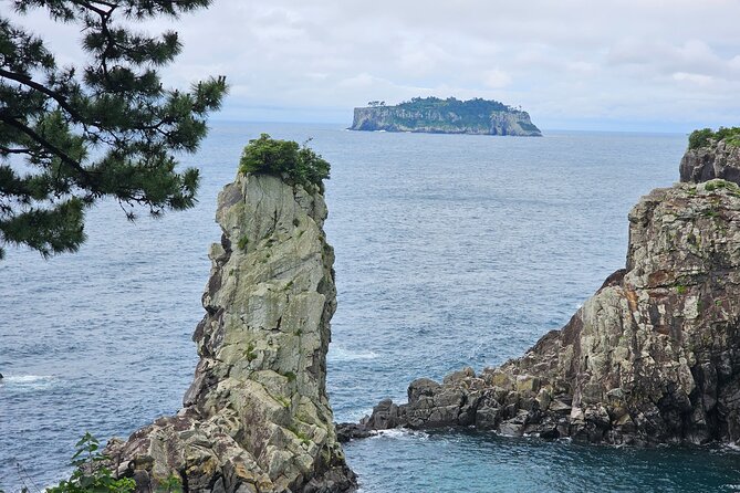 Private Full-Day Package Tour - South & East of Jeju Island - Optional Activities