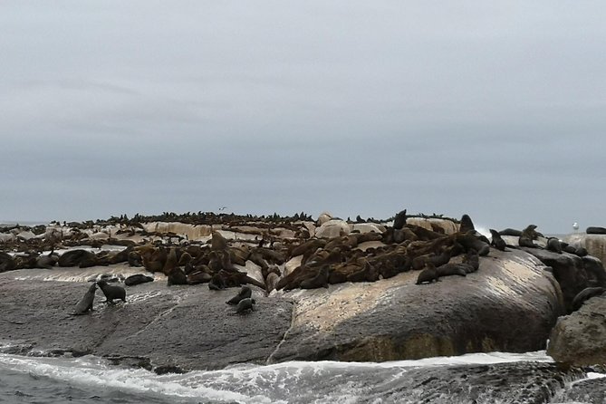 Private Full Day Panoramic Cape Town and Wine Tasting Tour From Cape Town - Tour Highlights