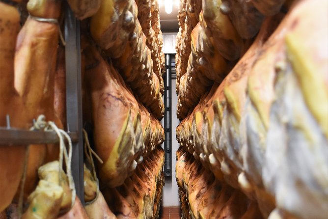 Private Full Day Parma Food Tour: Parmesan Cheese, Parma Ham, Lunch, Vinegar - Tour Highlights