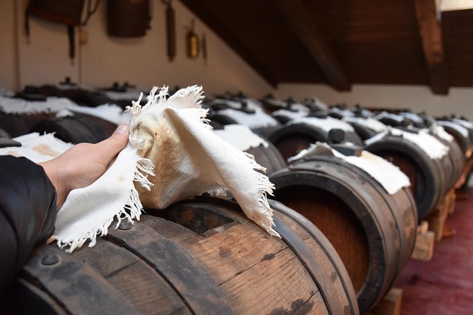 Private Full Day Parma Food Tour: Parmesan Cheese, Parma Ham, Lunch, Vinegar - Positive Reviews and Tour Experience