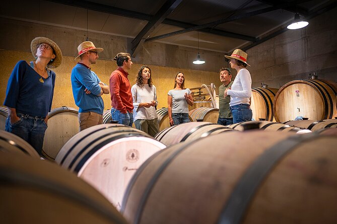 Private Full Day Pic Saint Loup Wine and Olive Tour With Lunch From Montpellier - Enjoy a 3-Course Lunch