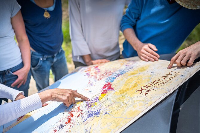 Private Full Day Pic Saint Loup Wine and Olive Tour With Lunch From Montpellier - Cancellation Policy and Weather Considerations