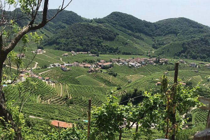 Private Full-Day Prosecco Wine Tour From Venice - Tour Overview