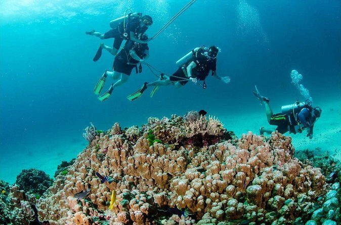 Private Full Day Racha Yai Scuba Diving Course from Phuket - Practical Considerations