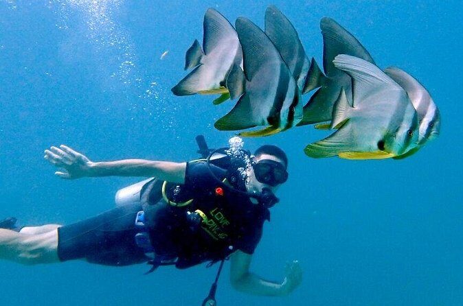 Private Full Day Racha Yai Scuba Diving Course from Phuket - FAQ