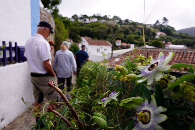 Private Full-Day, Regaleira, Cabo Da Roca & Natural Park . - Meeting Point