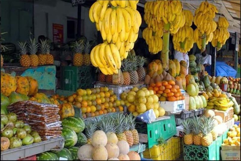 Private Full-Day Safari Adventure in Punta Cana with Pickup - Introduction