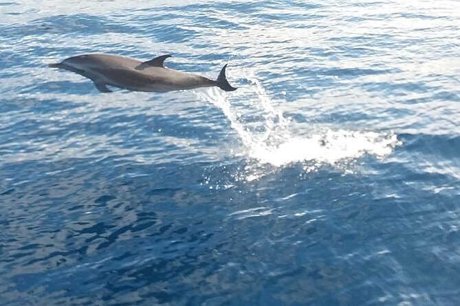 Private Full Day Sail/ Snorkel Experience USVI (Sapphire Marina, STT pick up) - Final Words