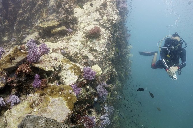 Private Full-Day Scuba Diving in Phuket - Cancellation Policy