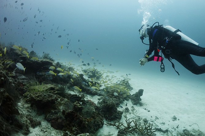 Private Full-Day Scuba Diving in Phuket - Pricing and Offer Details