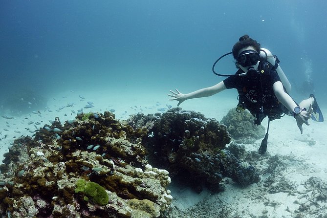 Private Full-Day Scuba Diving in Phuket - The Sum Up