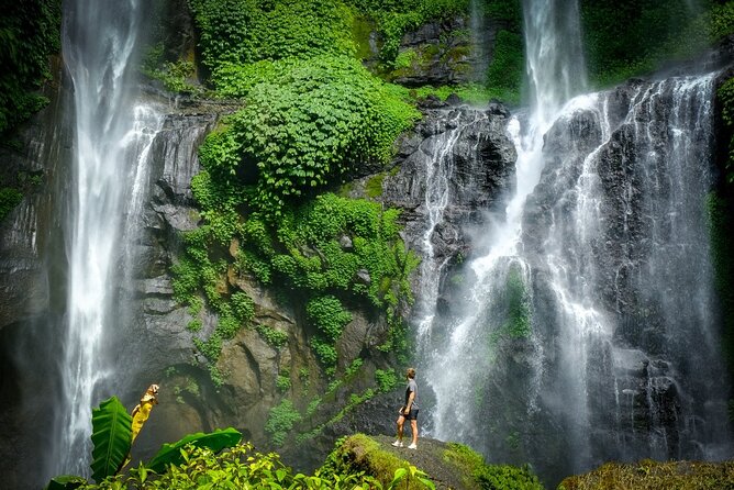 Private Full-Day Sekumpul Waterfall Hiking Tour - Overview of Sekumpul Waterfall Tour