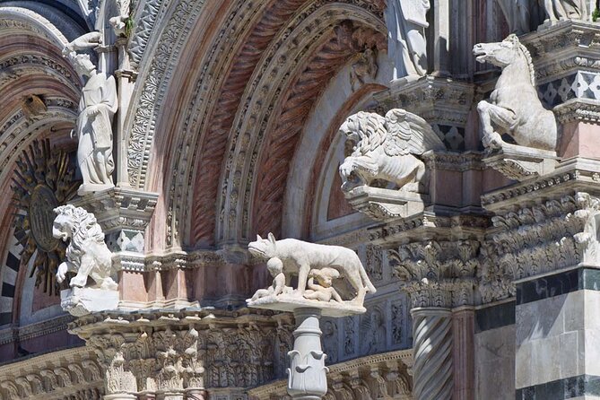 PRIVATE Full-Day Siena and Chianti Classico Wine Experience. - Wine Tasting and Vineyard Visit