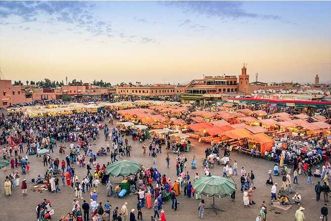 Private Full Day Sightseeing Marrakech Tour by Car - Booking and Contact Information