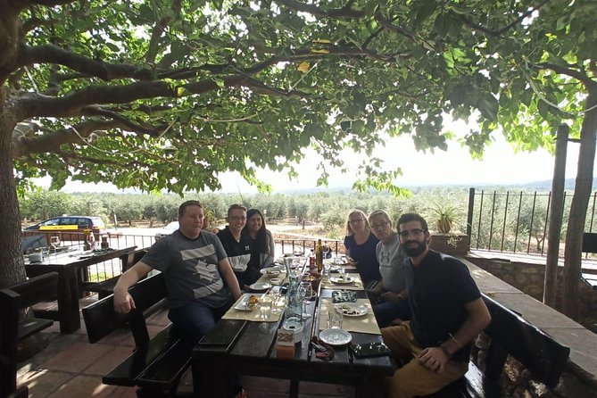 Private Full Day Sightseeing Tour in Barcelona - Common Questions